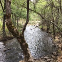 miners island